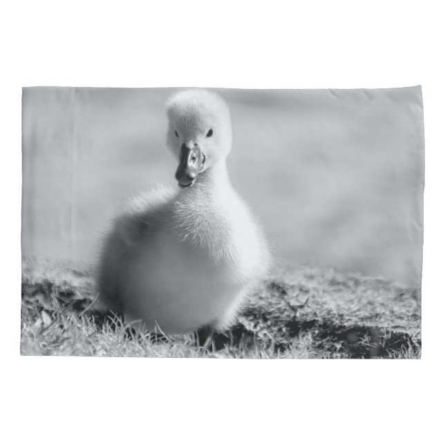 Young Duckling Swan Pillowcase (Back)