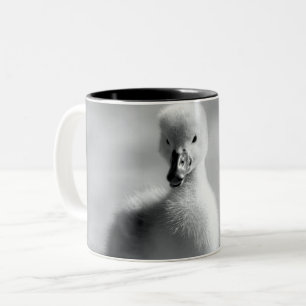 Young Duckling Swan Two-Tone Coffee Mug