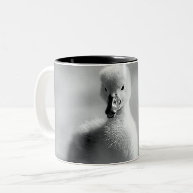 Young Duckling Swan Two-Tone Coffee Mug (Front Left)