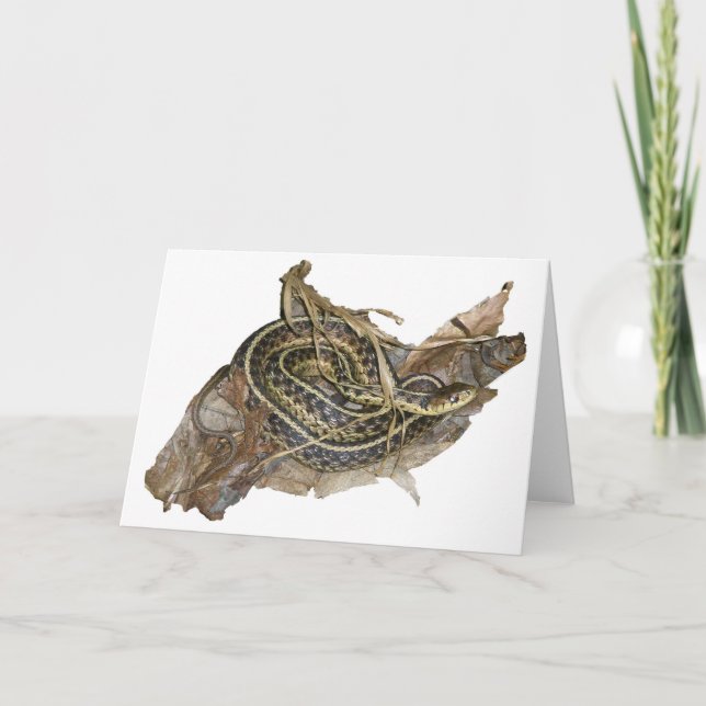 Young Eastern Garter Snake Coordinating Items Holiday Card (Front)