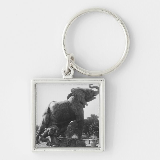 Young Elephant caught in a trap Key Ring (Front)