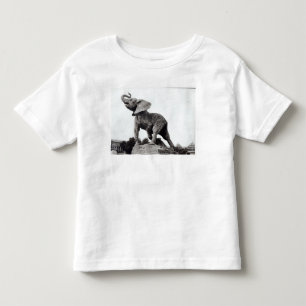 Young Elephant Caught in a Trap Toddler T-Shirt