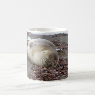 Young elephant seal coffee mug