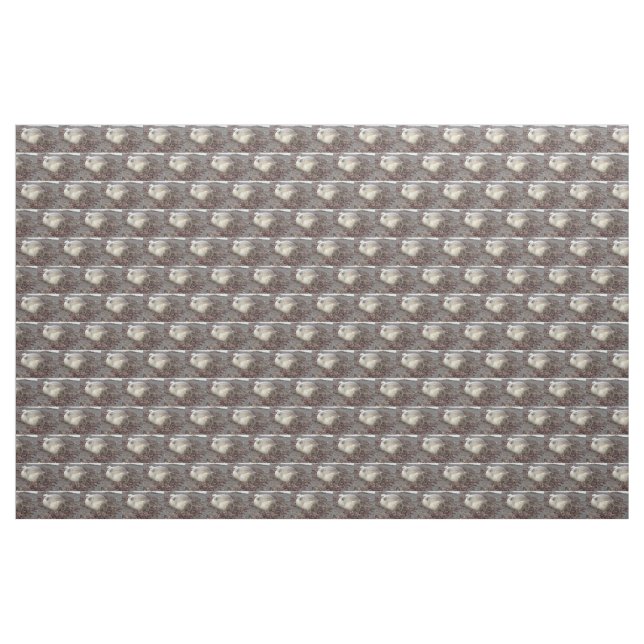 Young elephant seal fabric (Yard)