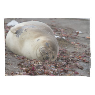 Young elephant seal pillowcase