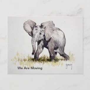 Young Elephant We Are Moving Post Card