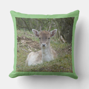 Young Fallow Deer Throw Pillow