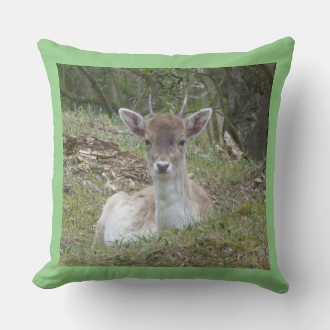 Young Fallow Deer Throw Pillow (Front)