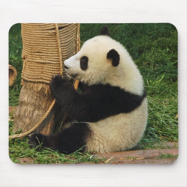 Young giant panda. mouse pad (Front)