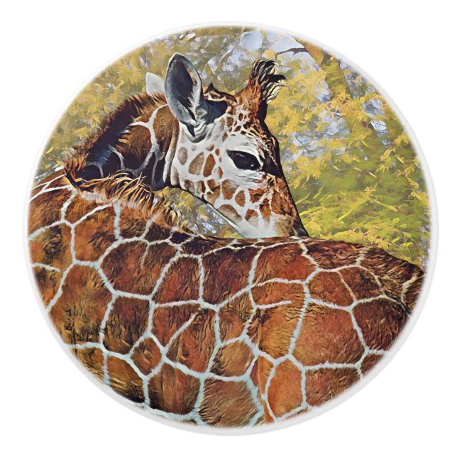 Young Giraffe Ceramic Knob (Front)