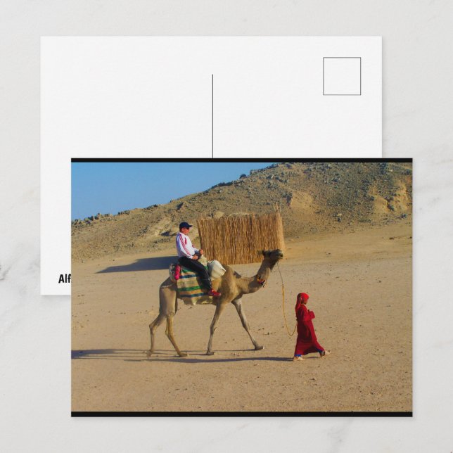 Young Girl With Camel Postcard (Front/Back)