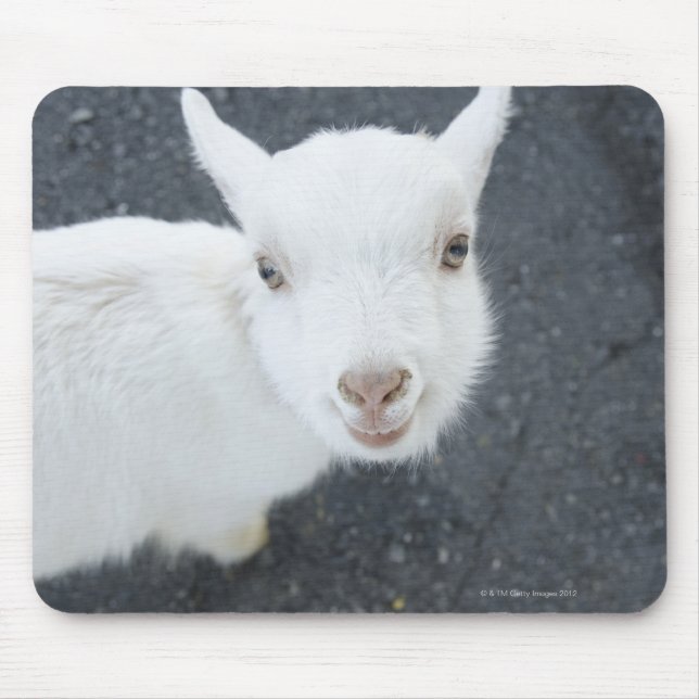 Young goat mouse pad (Front)