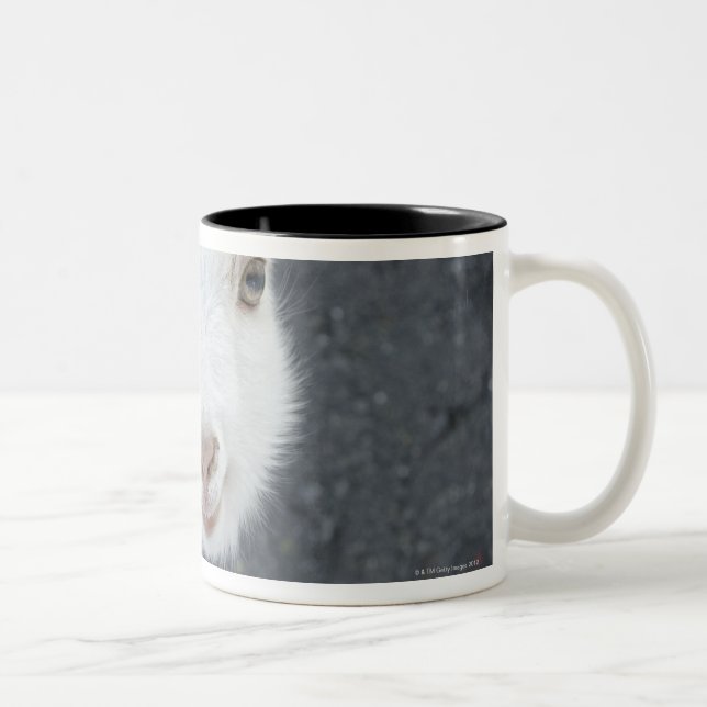 Young goat Two-Tone coffee mug (Right)