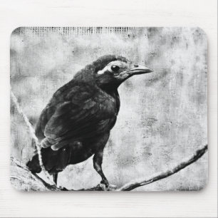 Young Grackle Mouse Pad
