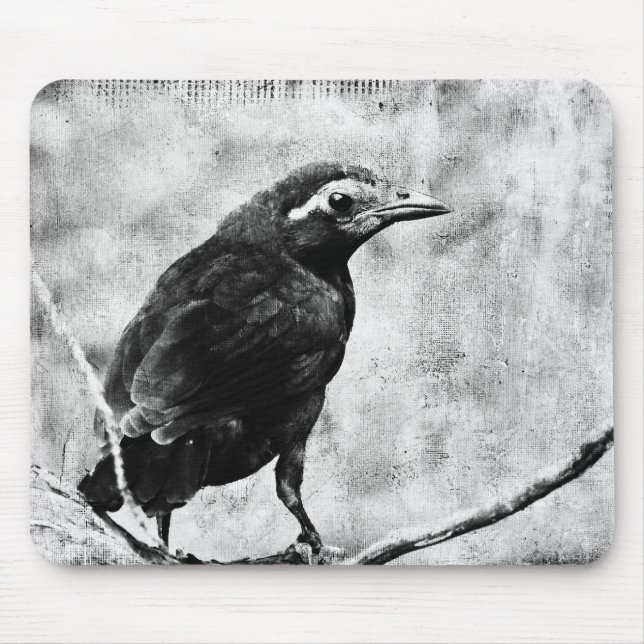 Young Grackle Mouse Pad (Front)