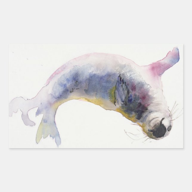 Young grey seal Gweek 2003 (Front)