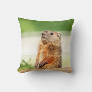 Young Groundhog Cushion