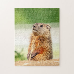 Young Groundhog Jigsaw Puzzle
