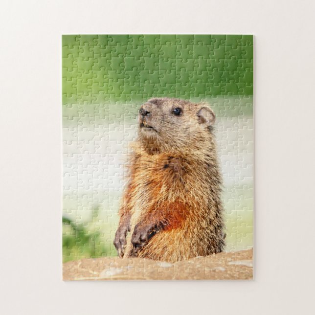 Young Groundhog Jigsaw Puzzle (Vertical)