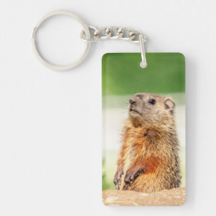 Young Groundhog Key Ring