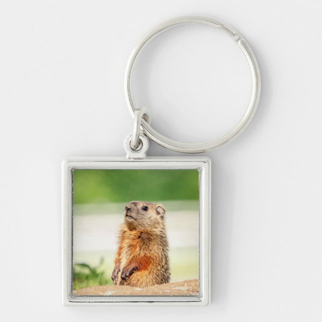 Young Groundhog Key Ring (Front)