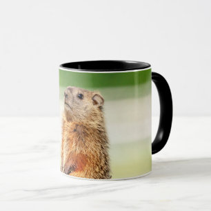 Young Groundhog Mug