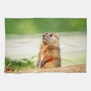 Young Groundhog Tea Towel
