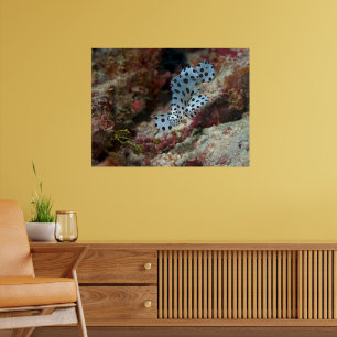 Young Grouper - Busy juvenile Fish at Coral Reef Poster