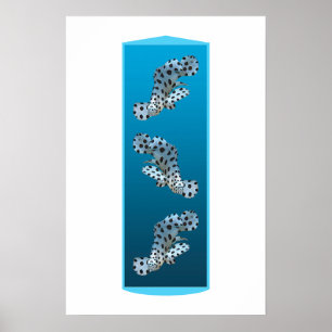 Young Grouper - Design gradient blue background    Poster