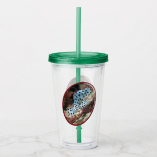 Young Grouper - Oval Photographic Design of Fish Acrylic Tumbler