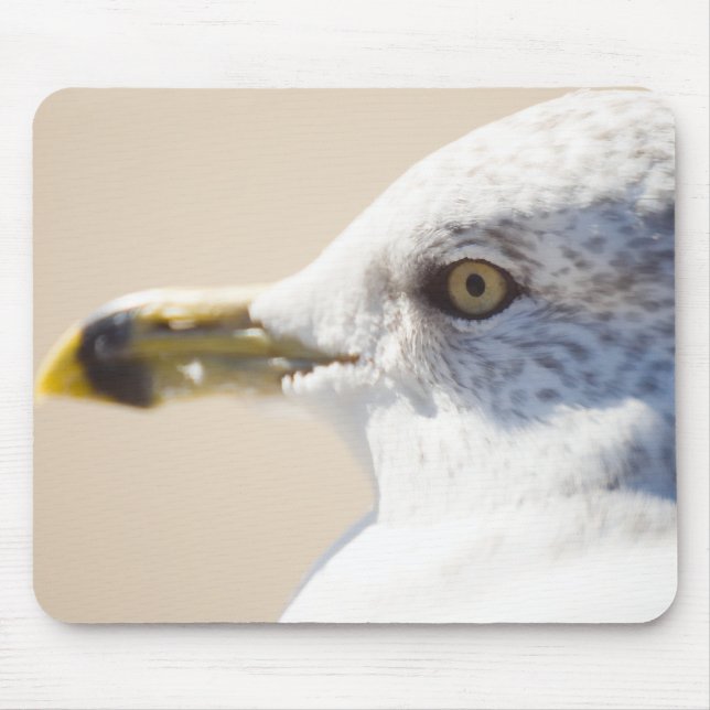 Young Gull Mouse Pad (Front)