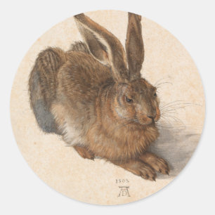 Young Hare   Albrecht Dürer Classic Round Sticker
