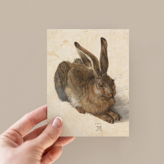 Young Hare | Albrecht Dürer Postcard (Creator Uploaded)