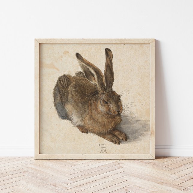 Young Hare | Albrecht Dürer Poster (Creator Uploaded)