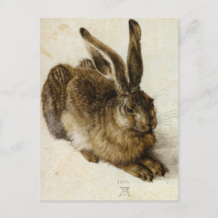 ‘Young Hare’ by Albrecht Dürer Postcard
