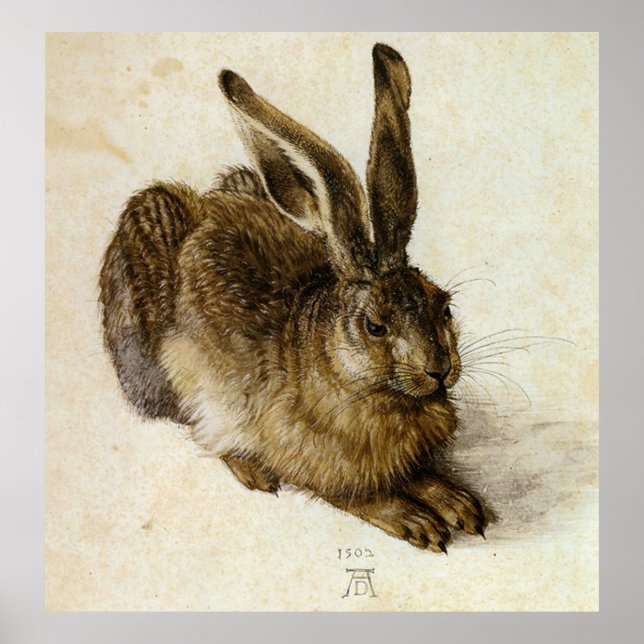 ‘Young Hare’ by Albrecht Dürer Poster (Front)