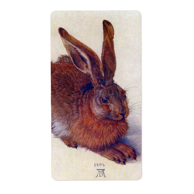 Young Hare by Albrecht Durer, Renaissance Fine Art (Front)