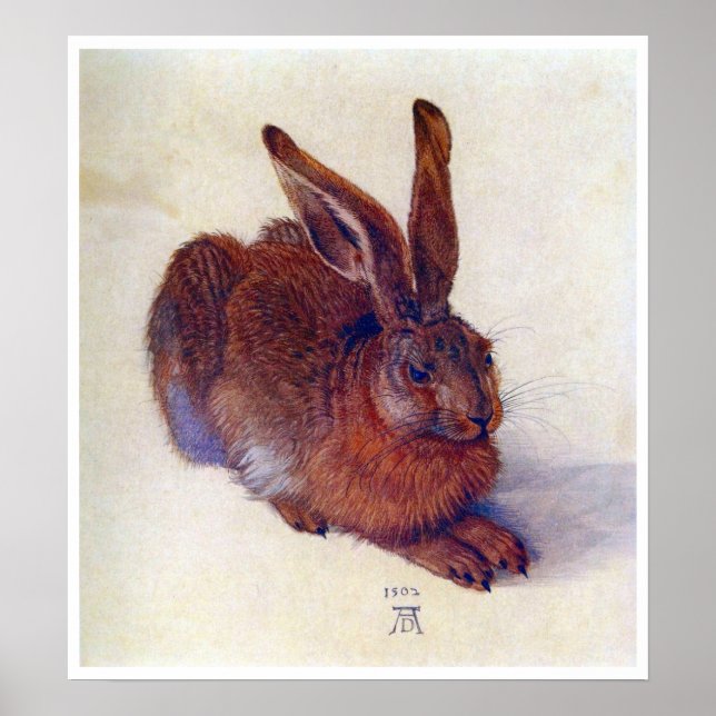 Young Hare by Albrecht Durer, Renaissance Fine Art Poster (Front)
