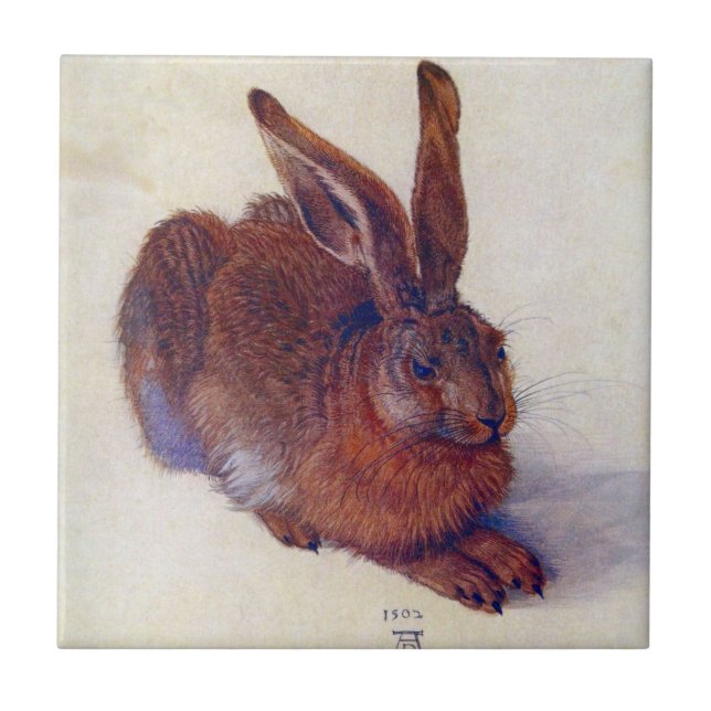 Young Hare by Albrecht Durer, Renaissance Fine Art Tile (Front)