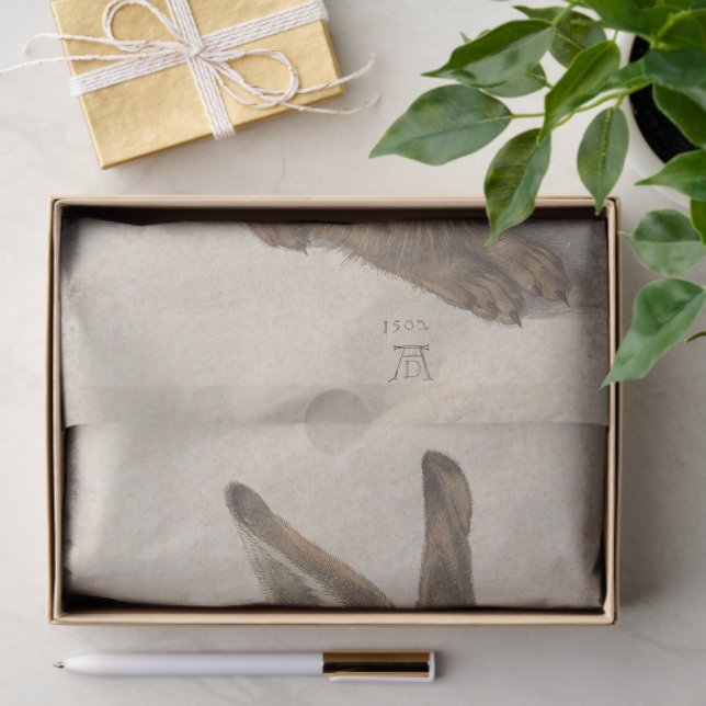 Young Hare by Albrecht Durer, Renaissance Fine Art Tissue Paper (Gift)