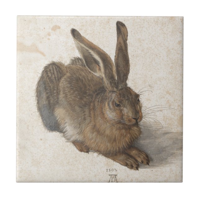 Young Hare by Albrecht Durer Tile (Front)