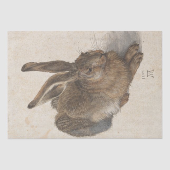 Young Hare by Albrecht Durer Tissue Paper (Front)