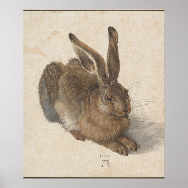 Young Hare (Durer 1502) Poster (Front)