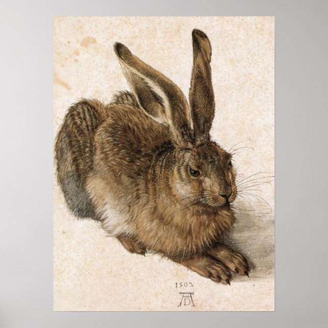 'Young Hare' Poster (Front)