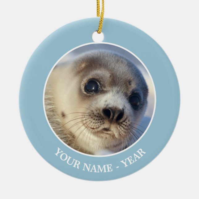 Young Harp Seal Ceramic Tree Decoration (Front)