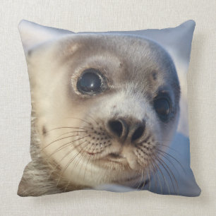 Young Harp Seal Cushion