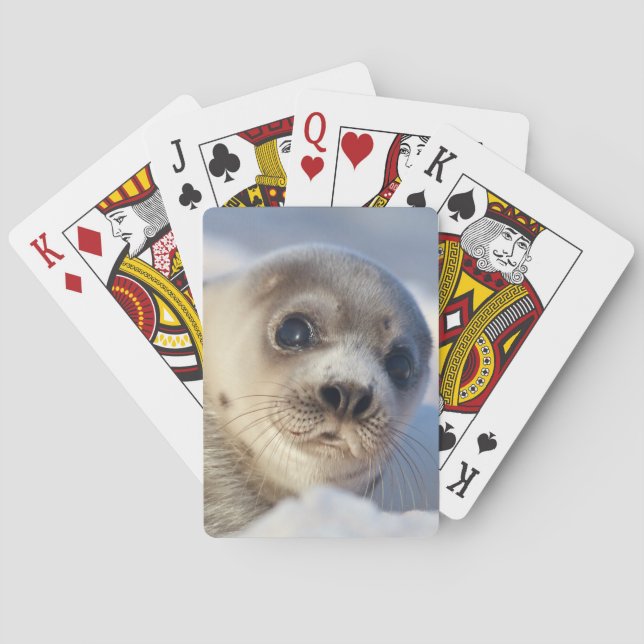 Young Harp Seal Playing Cards (Back)