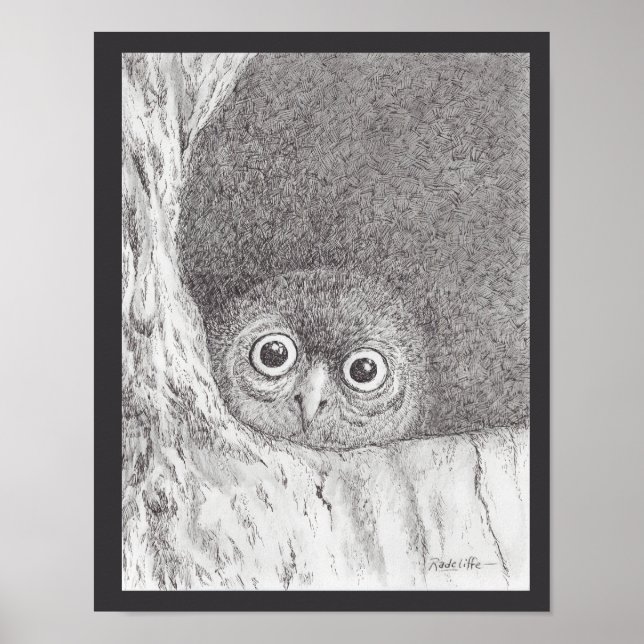 Young Hawk Owl Print (Front)