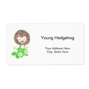 Young Hedgehog & Wild Strawberry Flowers