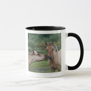 Young Henson horses encountering each other Mug
